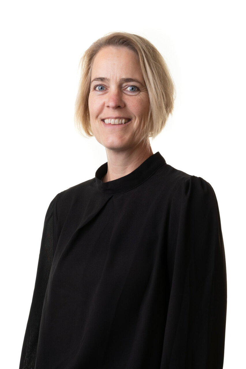 afbeelding van Leonie Heemskerk